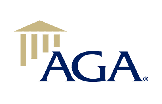 Association of Government Accountants