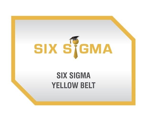 Lean Six Sigma Training: Yellow Belt Training Course