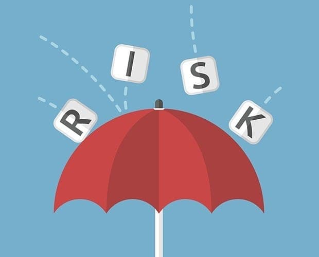 Project Professionals and Risk Management
