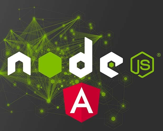 Connect Angular 2+ Frontend with a NodeJS Backend Training Course