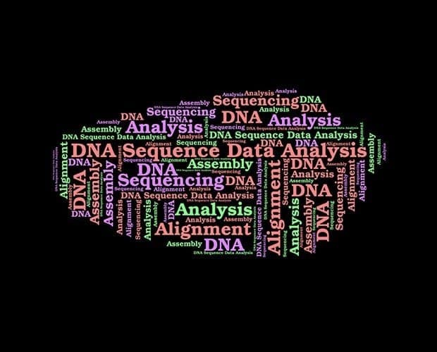 Pandas for Data Analysis in Python Training Course